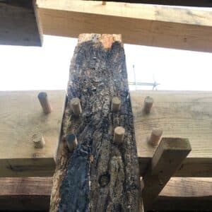 A wood oak column with bark stands upright against a horizontal wooden plank, the two are joined together with wooden pegs.