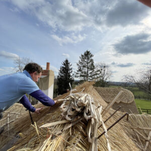 A thatcher in a blue t-shirt works on top of a pitched roof, laying out thatch to complete the re-thatched cottage. Photo taken from the top of the roof. Communion Architects Hereford, Herefordshire.